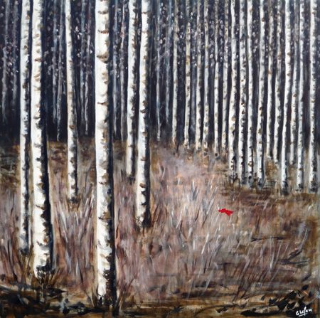 forêt de bouleaux